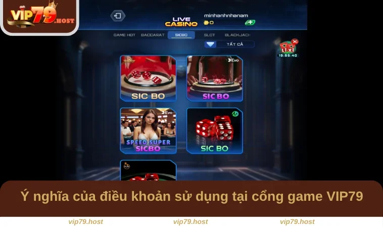 Ý nghĩa của điều khoản sử dụng tại cổng game VIP79